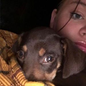 Meet your Posher, Layla